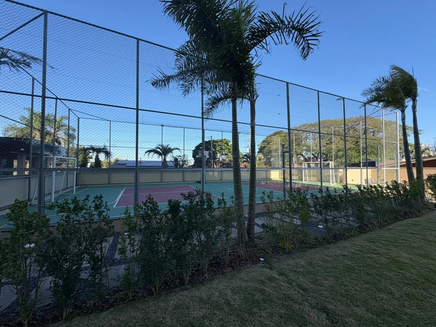 Quadra esportiva cercada por alambrado, com palmeiras e gramado ao redor.