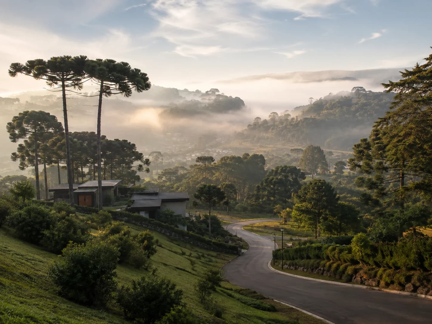 Paisagem residencial entre araucárias e colinas inspirada na Serra Gaúcha, em cena conceitual.
