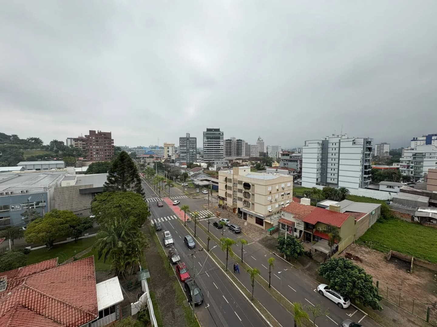 Vista da avenida arborizada, com ciclovia.
