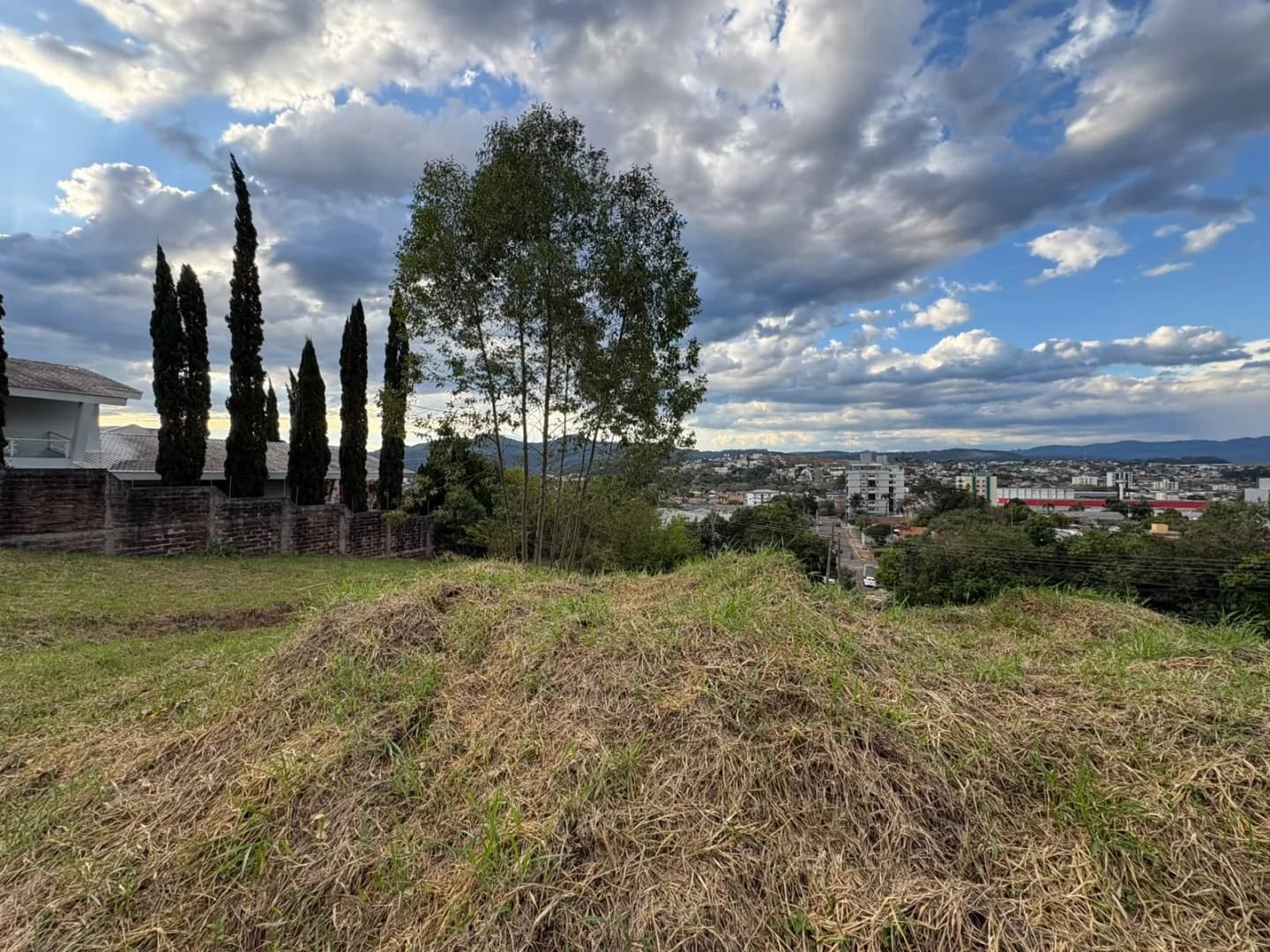 Árvores no terreno, muro de tijolos à esquerda e a cidade ao fundo.