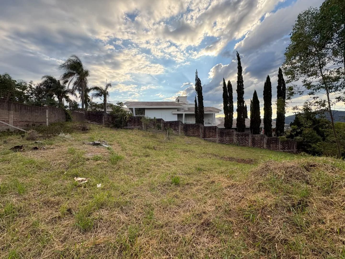 Terreno gramado com muro de tijolos, palmeiras e casa vizinha ao fundo.