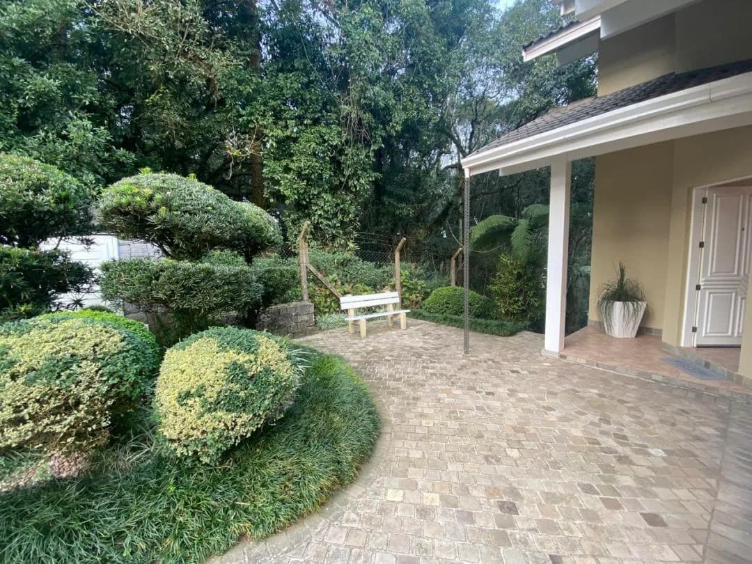 Pátio de pedra com banco de madeira e jardim de arbustos podados em bola
