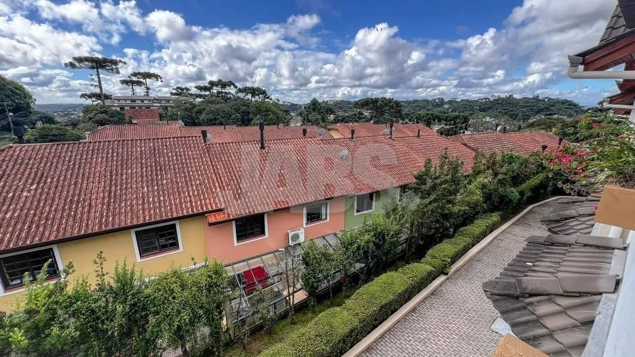 Vista para as araucárias