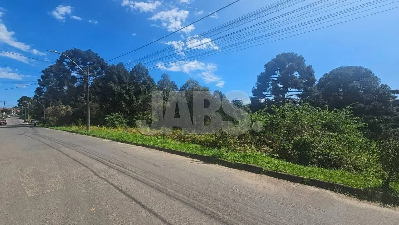 Lote de 1.028 m² com bosque perto do Centro de Canela, foto 1