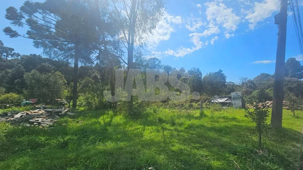 Lote de 1.028 m² com bosque perto do Centro de Canela, foto 2