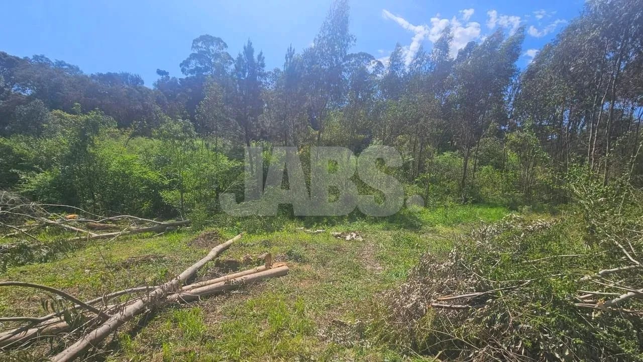 Lote de 1.028 m² com bosque perto do Centro de Canela, foto 4