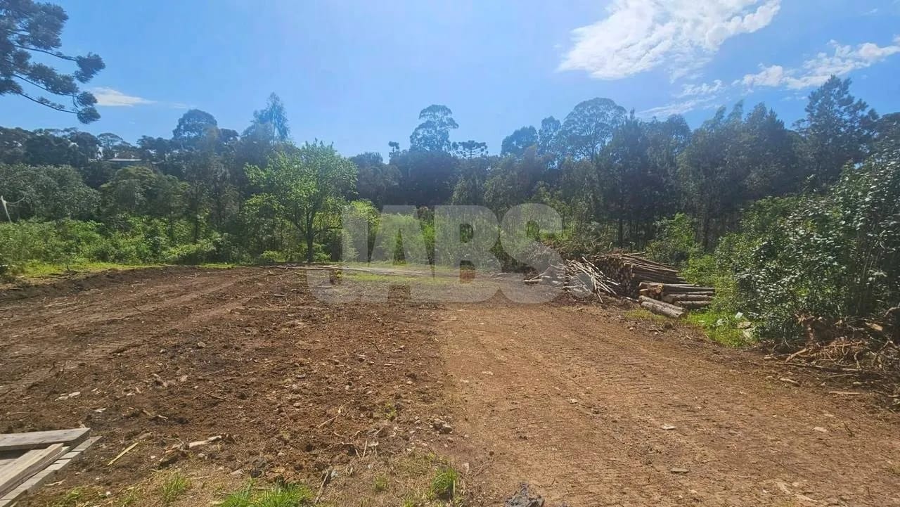 Lote de 1.028 m² com bosque perto do Centro de Canela, foto 5