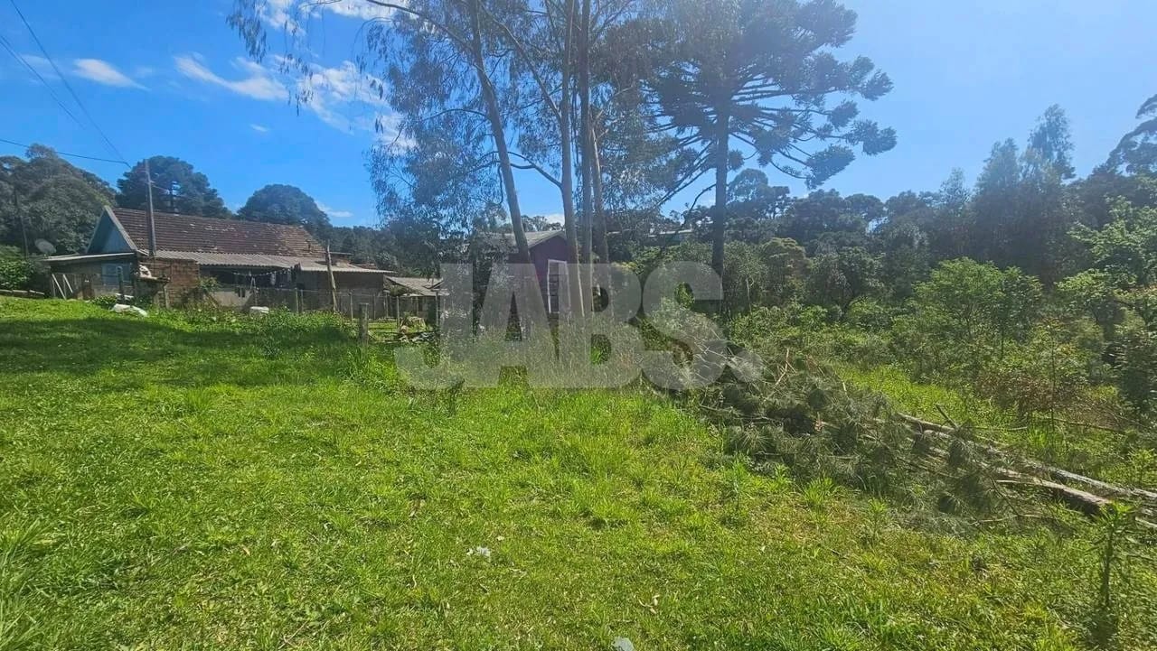 Lote de 1.028 m² com bosque perto do Centro de Canela, foto 6