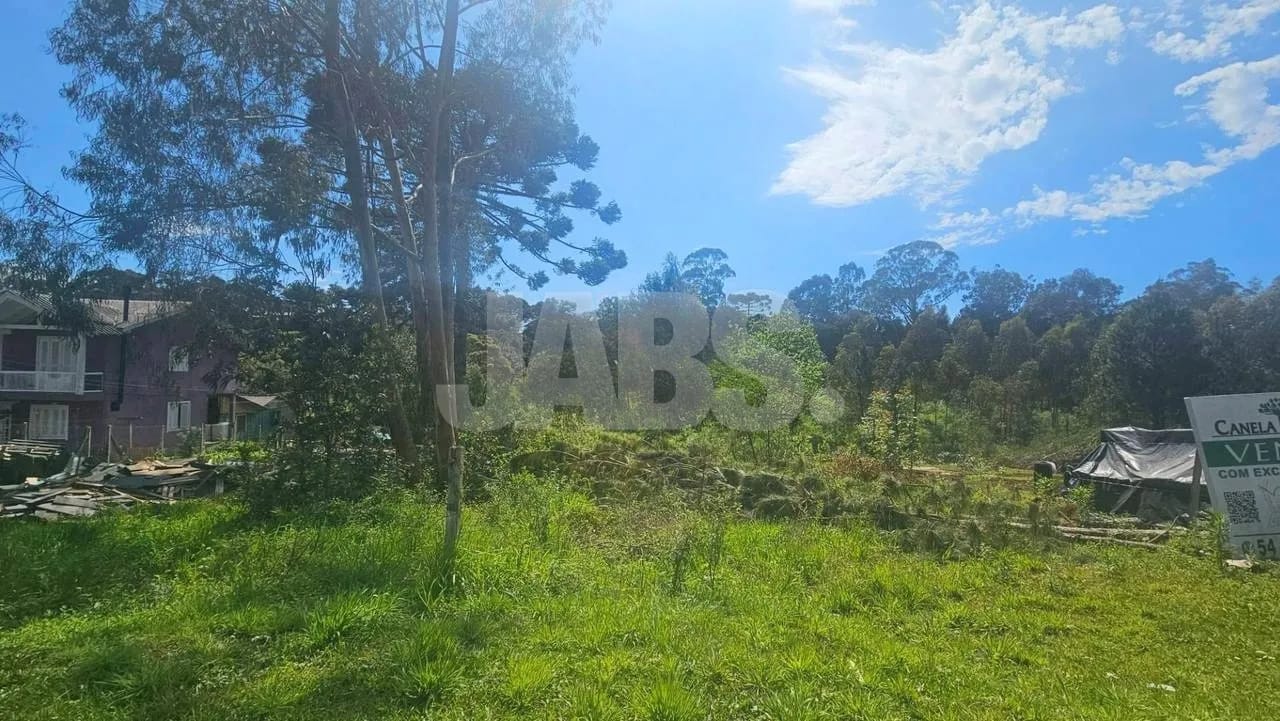 Lote de 1.028 m² com bosque perto do Centro de Canela, foto 7