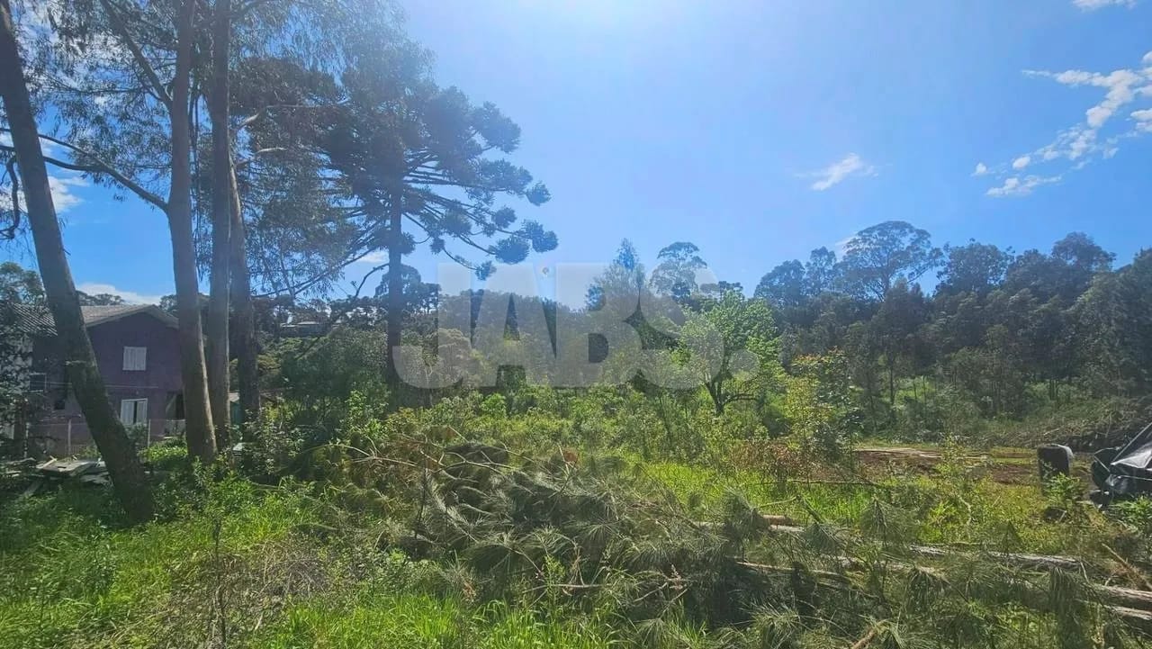 Lote de 1.028 m² com bosque perto do Centro de Canela, foto 8