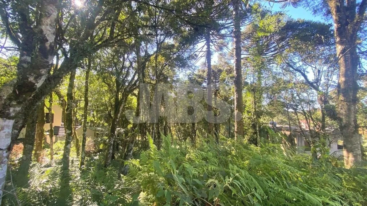 Terreno