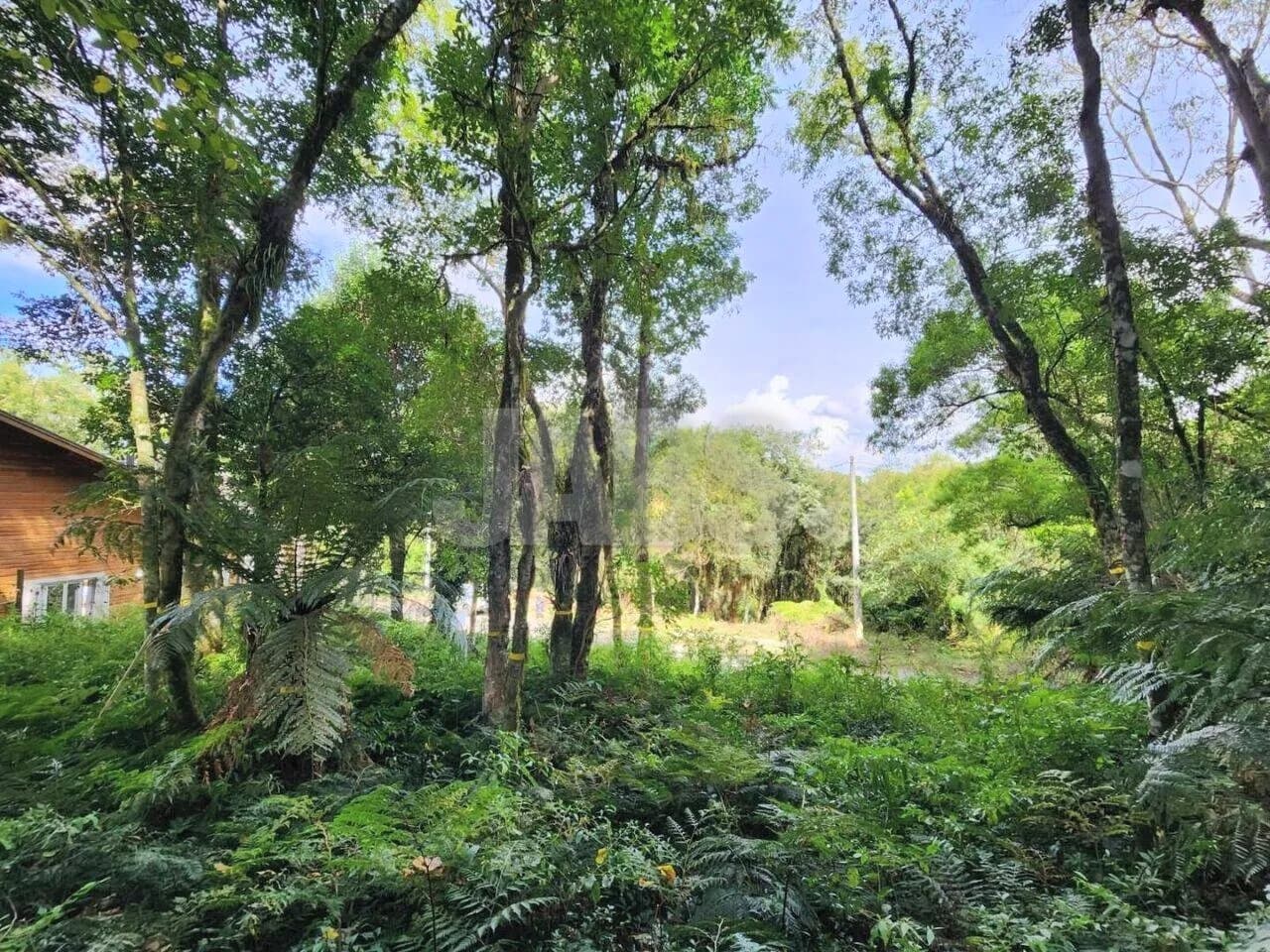 Terreno de 681 m² na Vila do Cedro, foto 1