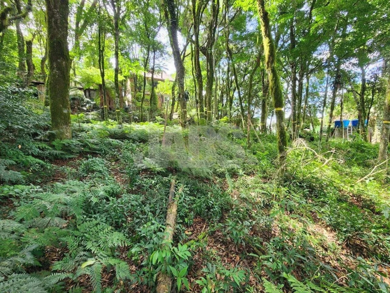 Terreno de 681 m² na Vila do Cedro, foto 3