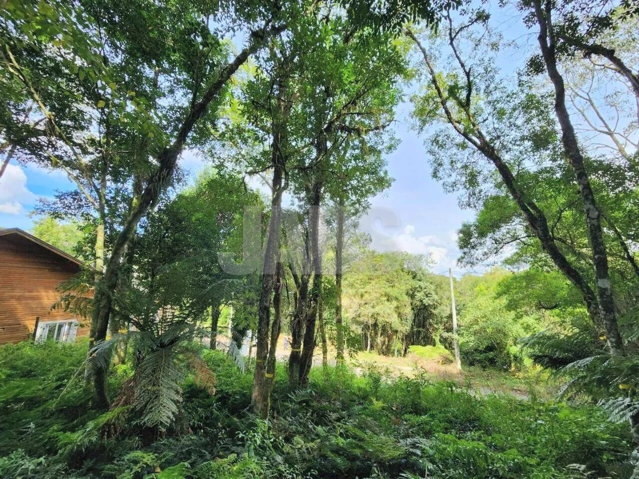 Terreno de 681 m² na Vila do Cedro, foto 4