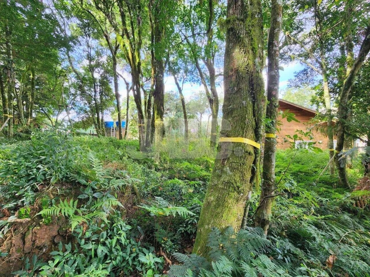 Terreno de 681 m² na Vila do Cedro, foto 5