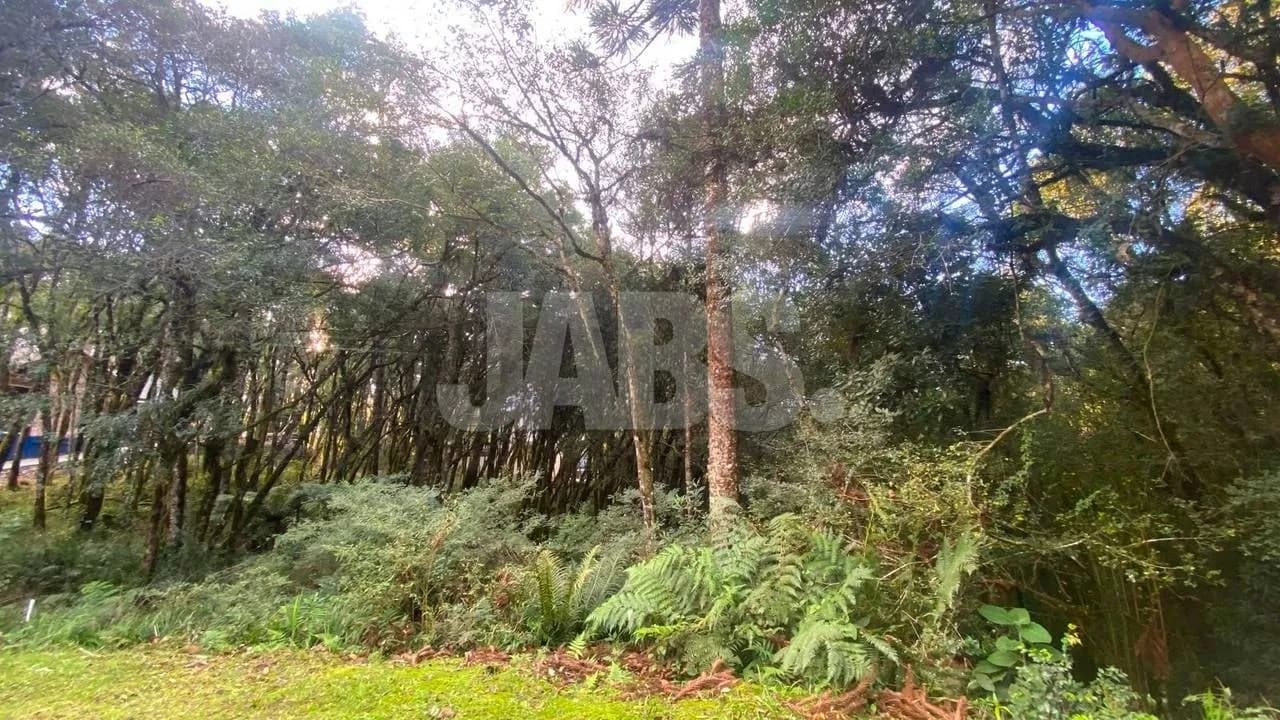 Terreno de 745 m² no Residencial Pinheiro Grosso, foto 1