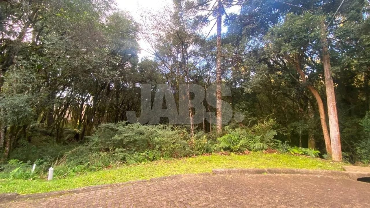 Terreno de 745 m² no Residencial Pinheiro Grosso, foto 5