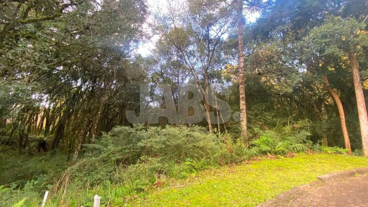 Terreno de 745 m² no Residencial Pinheiro Grosso, foto 7