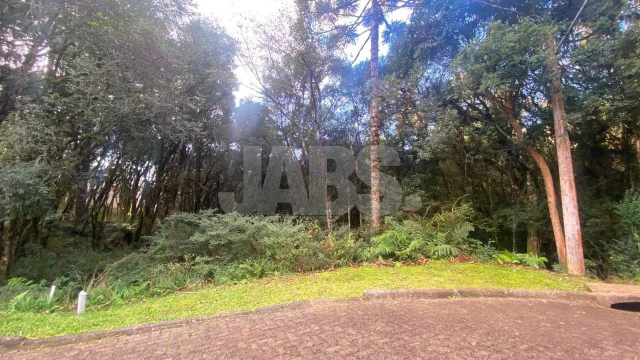 Terreno de 745 m² no Residencial Pinheiro Grosso, foto 8
