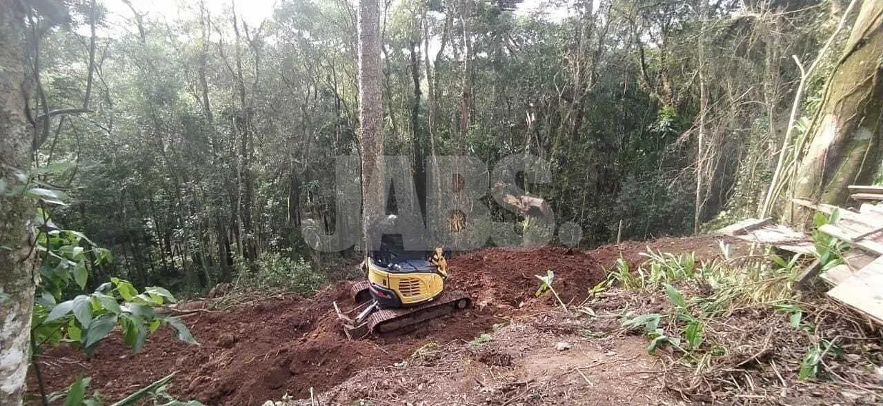 Terreno de 923 m² com projeto aprovado na Vila Suzana, foto 5