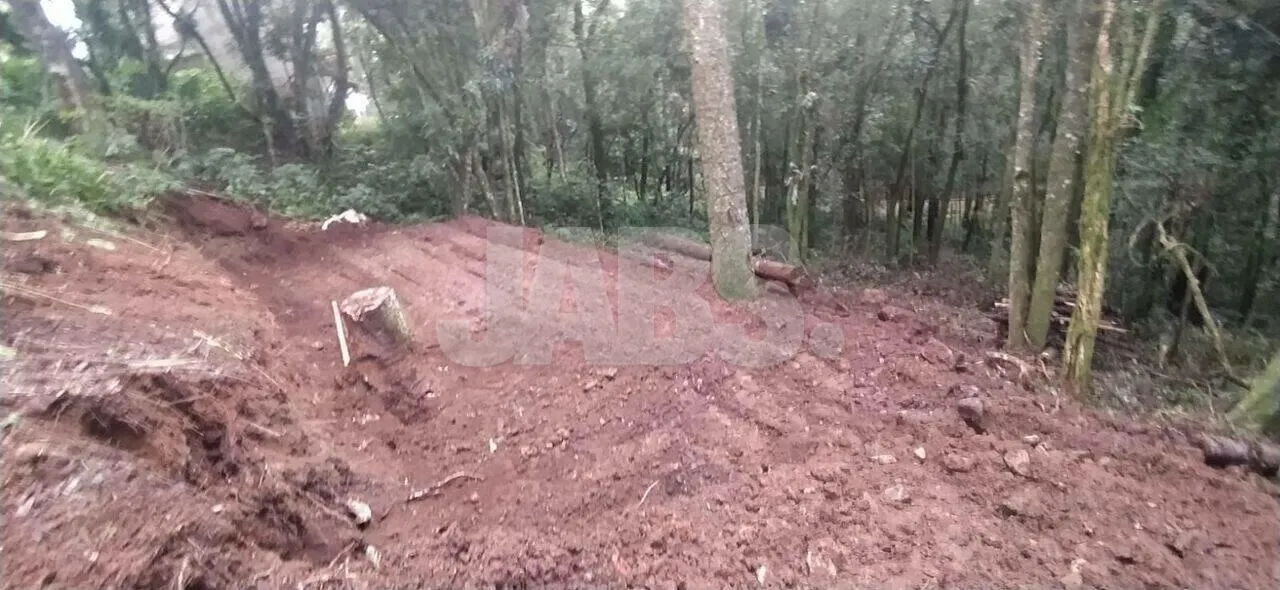 Terreno de 923 m² com projeto aprovado na Vila Suzana, foto 6
