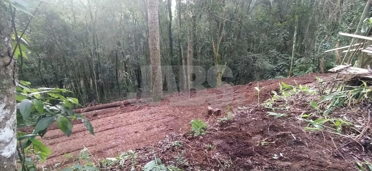 Terreno de 923 m² com projeto aprovado na Vila Suzana, foto 7