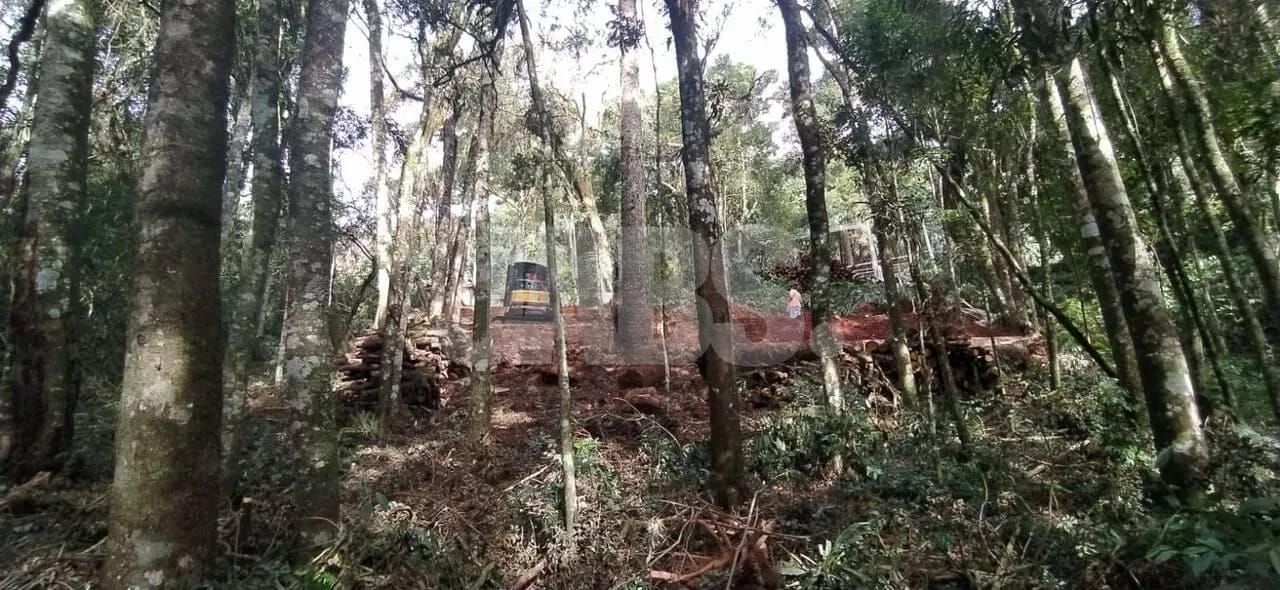 Terreno de 923 m² com projeto aprovado na Vila Suzana, foto 8