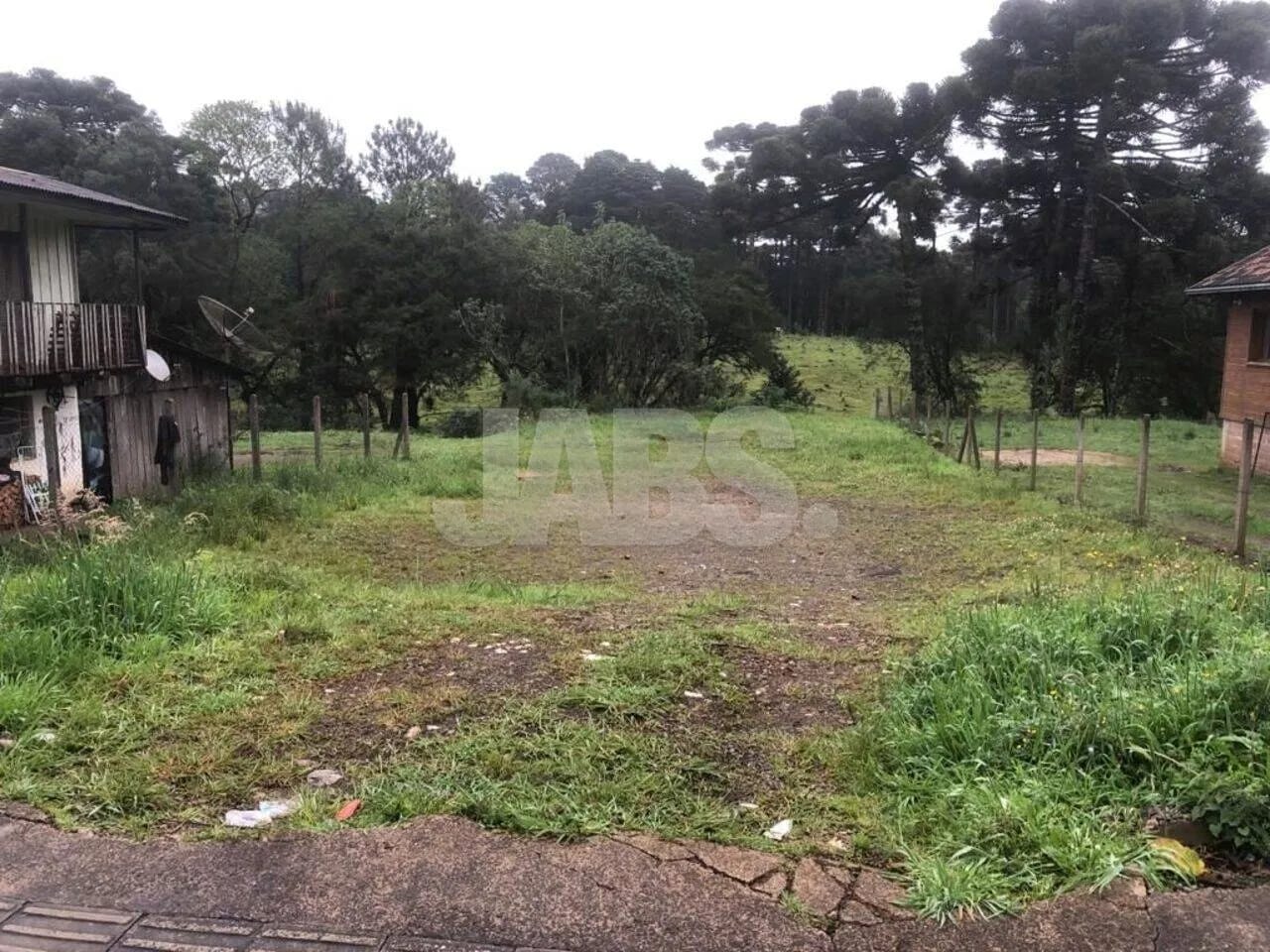Terreno plano de 585 m² no Ulisses de Abreu, foto 3