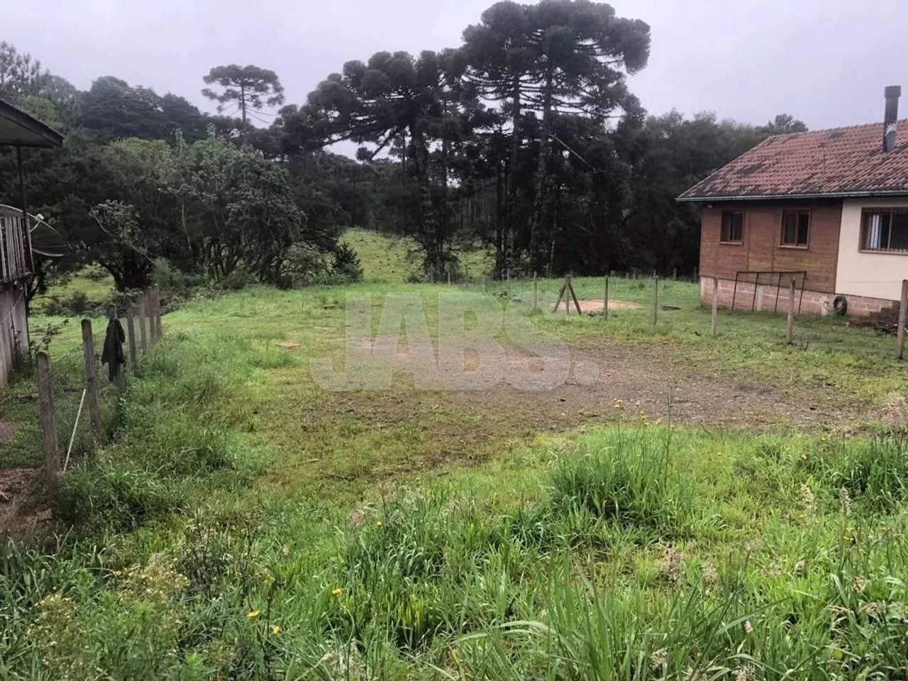 Terreno plano de 585 m² no Ulisses de Abreu, foto 5