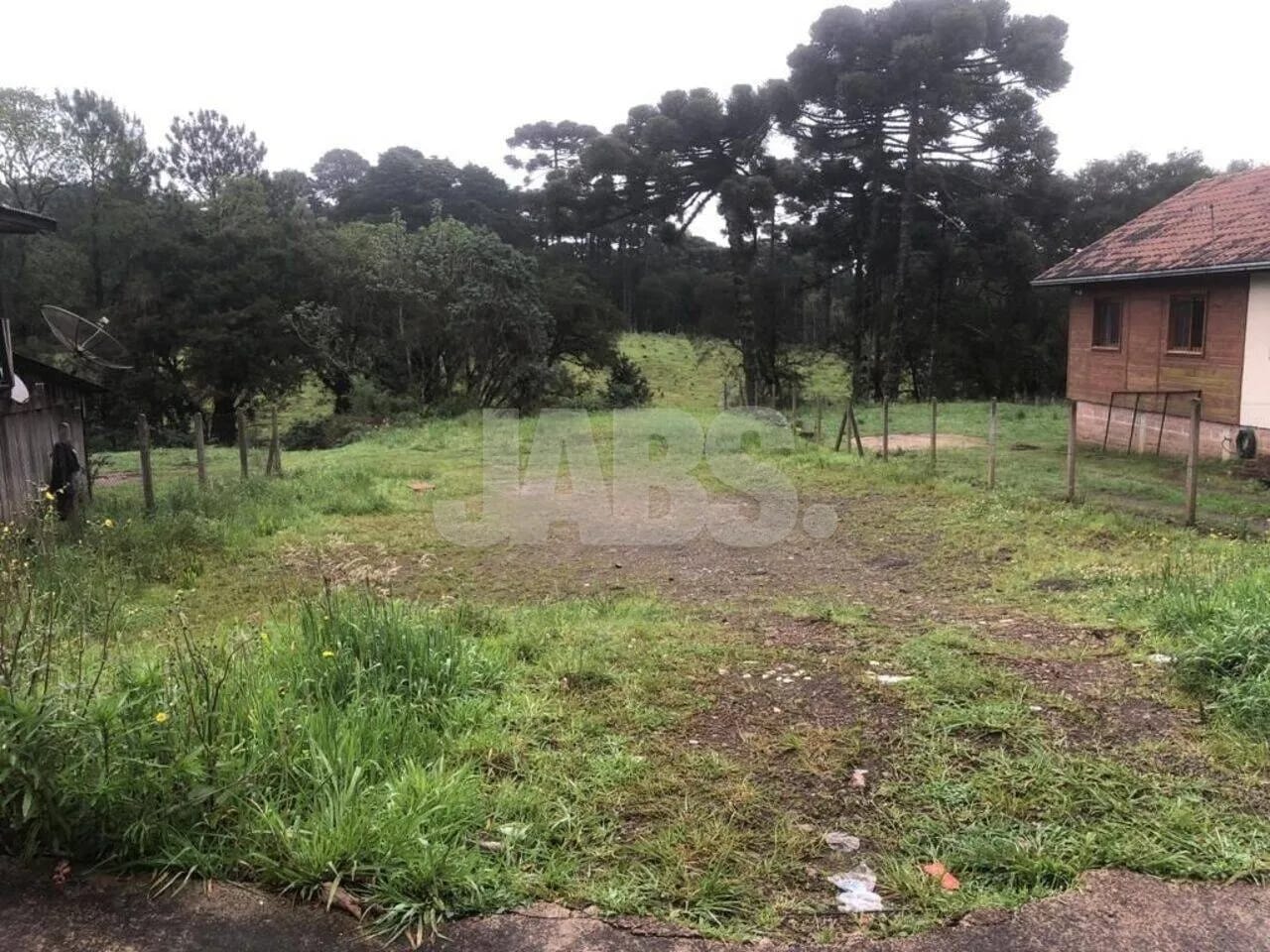 Terreno plano de 585 m² no Ulisses de Abreu, foto 6