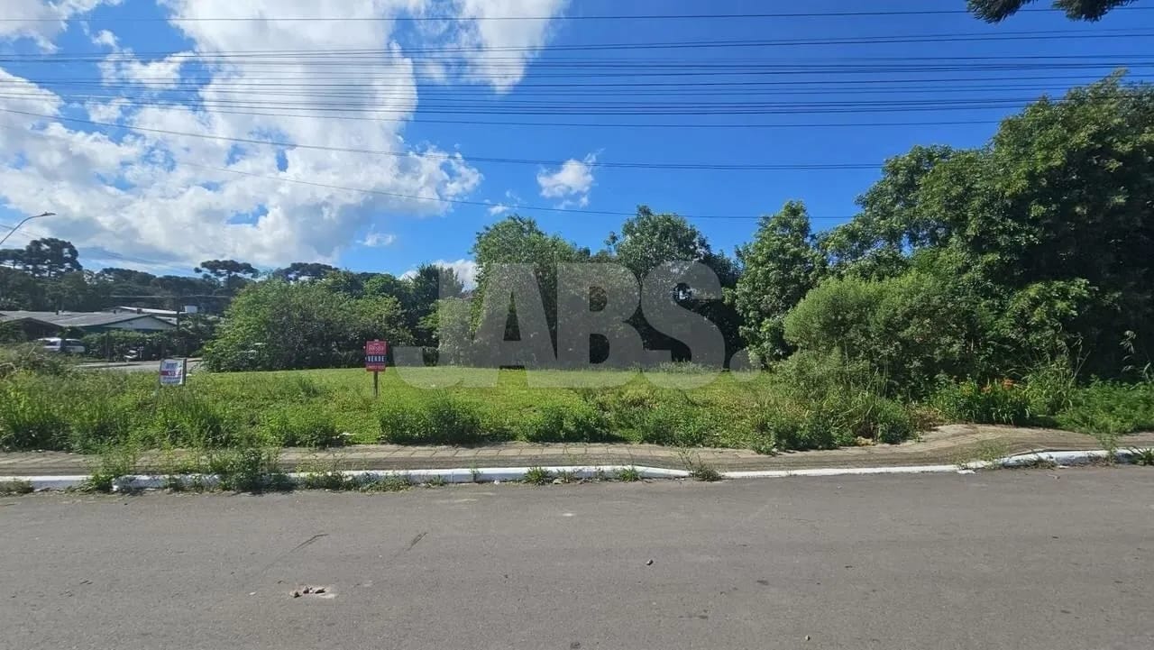 Terreno plano de esquina com 450 m² no São Luiz, foto 9