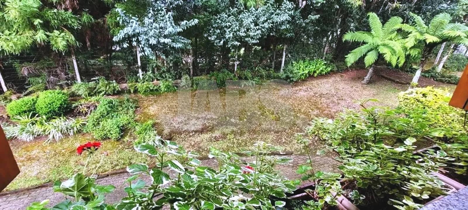 Jardim e mata vistos da sacada
