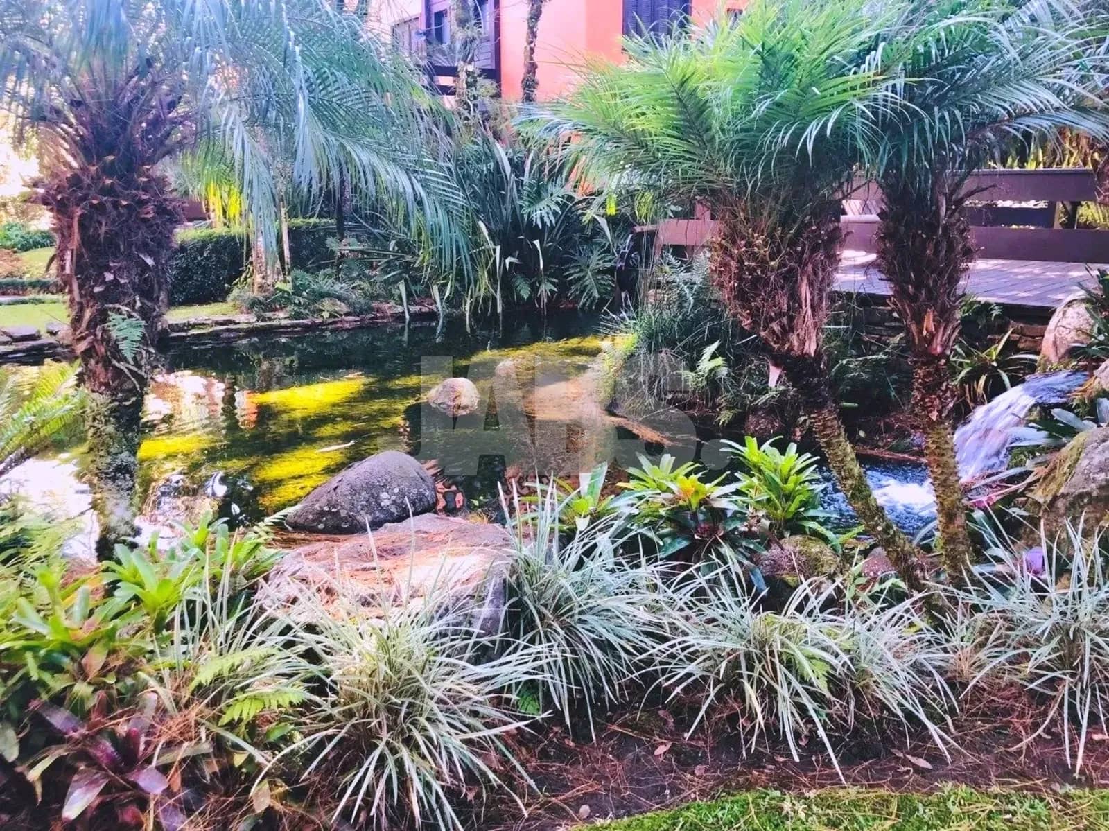 Jardim com lago e bromélias no condomínio