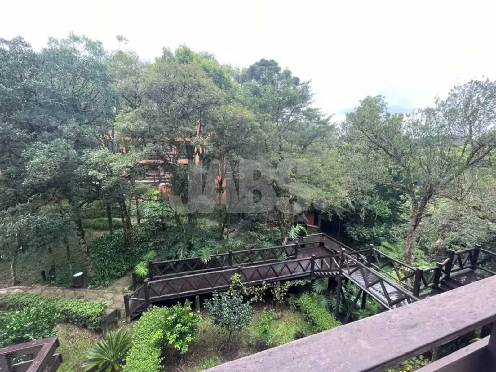 Vista da sacada para a mata e as passarelas de madeira do condomínio