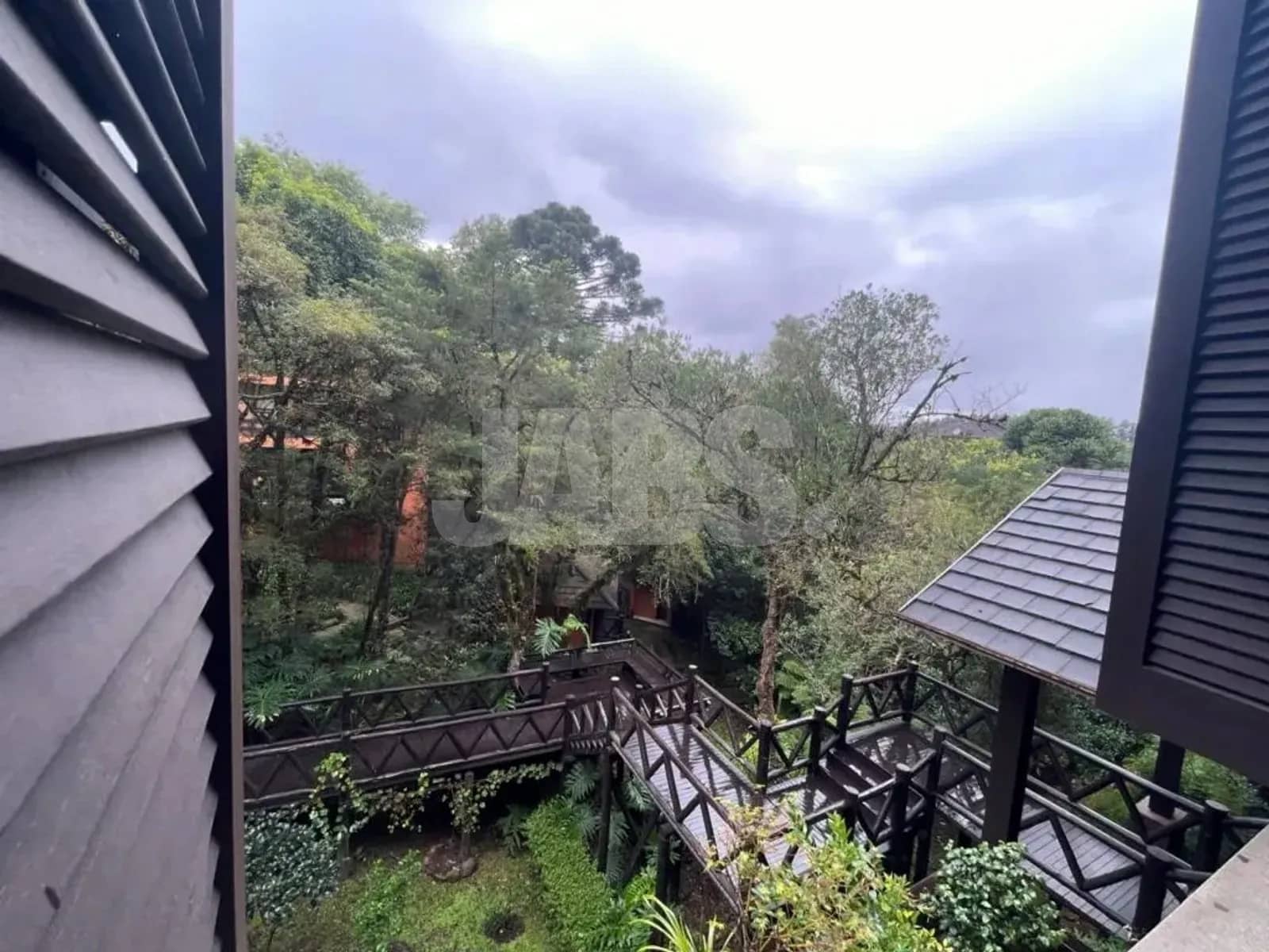 Vista do prédio para a mata e o telhado das casas vizinhas