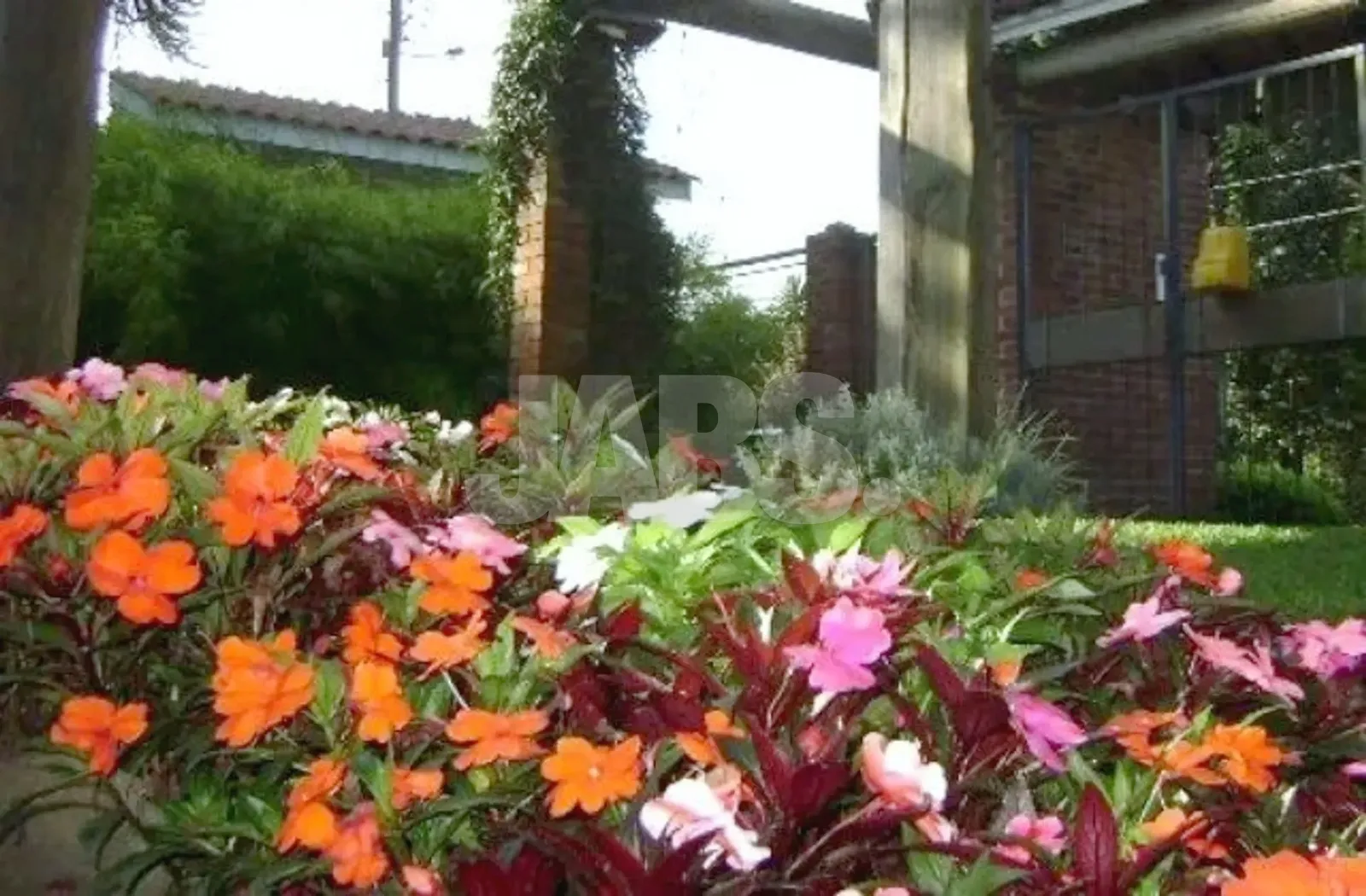 Canteiro de flores no jardim do prédio