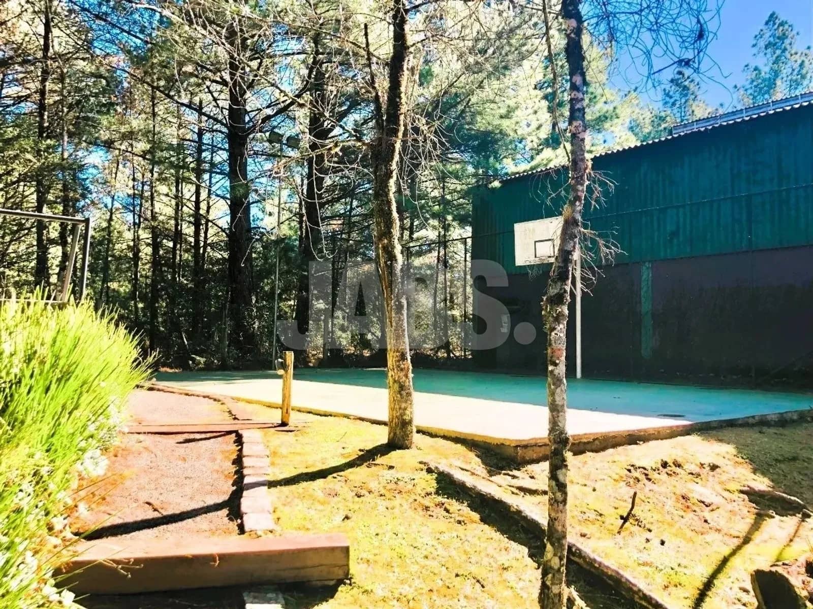 Quadra poliesportiva entre as árvores