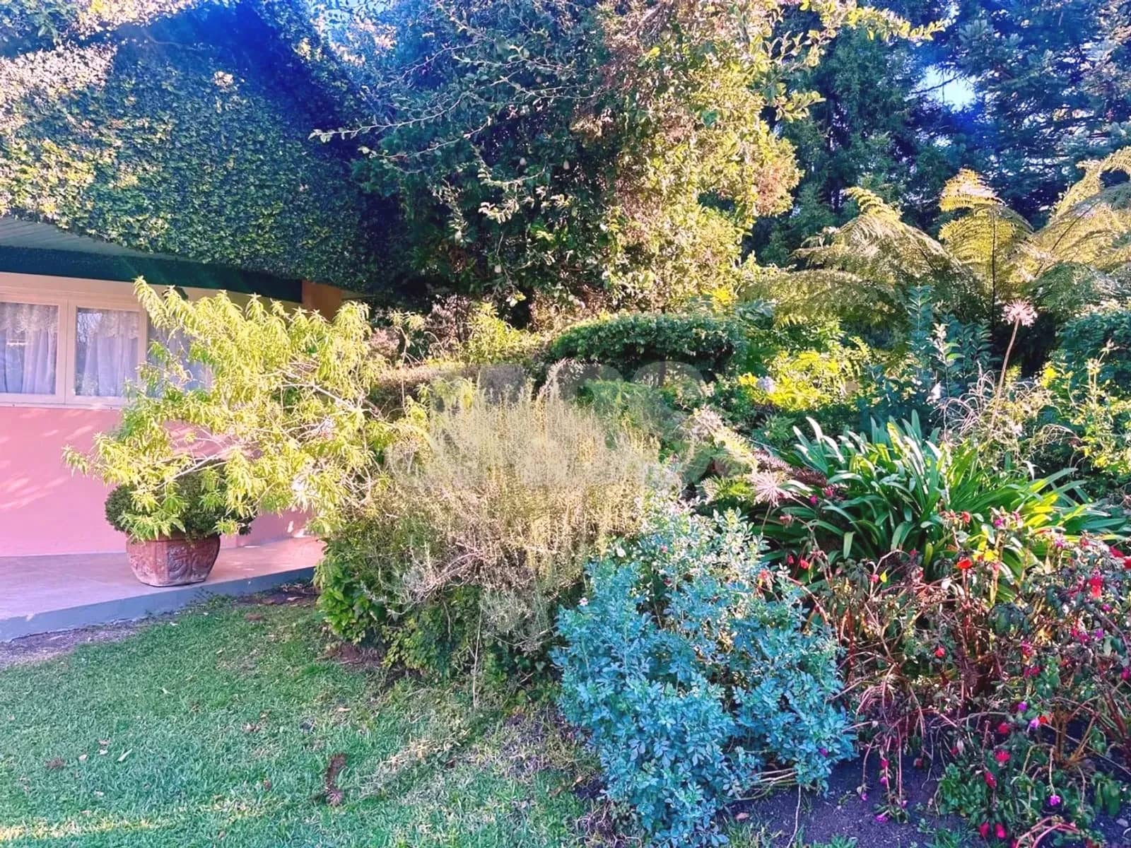 Jardim com flores