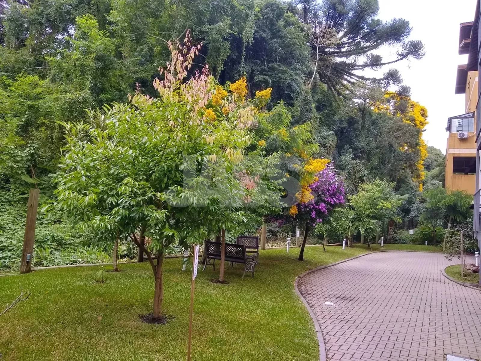 Jardim do prédio com caminho de pedra