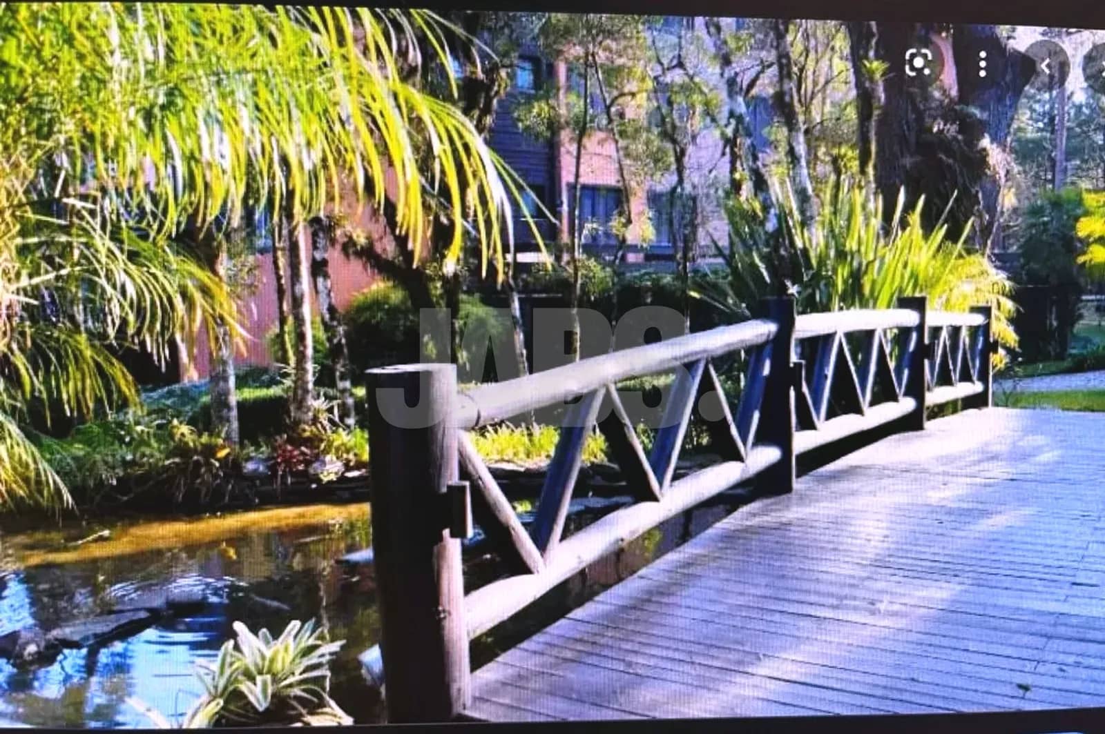 Ponte de madeira sobre o lago nos jardins