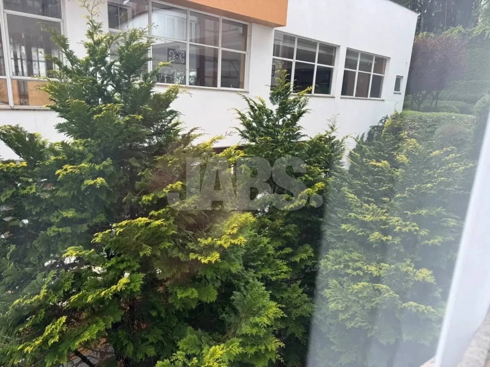 Vista da janela para o verde
