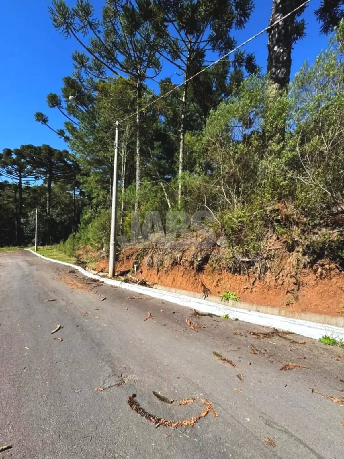 Frente do terreno na rua asfaltada do loteamento
