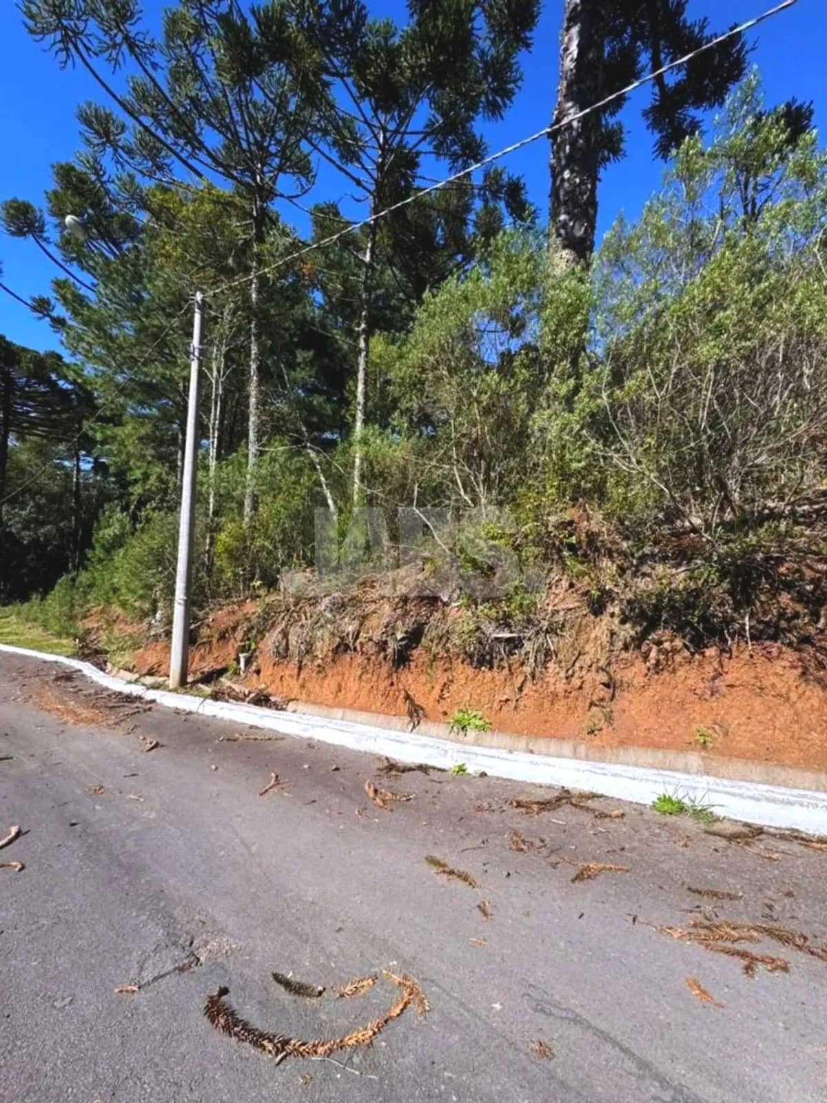 Frente do terreno com barranco e vegetação