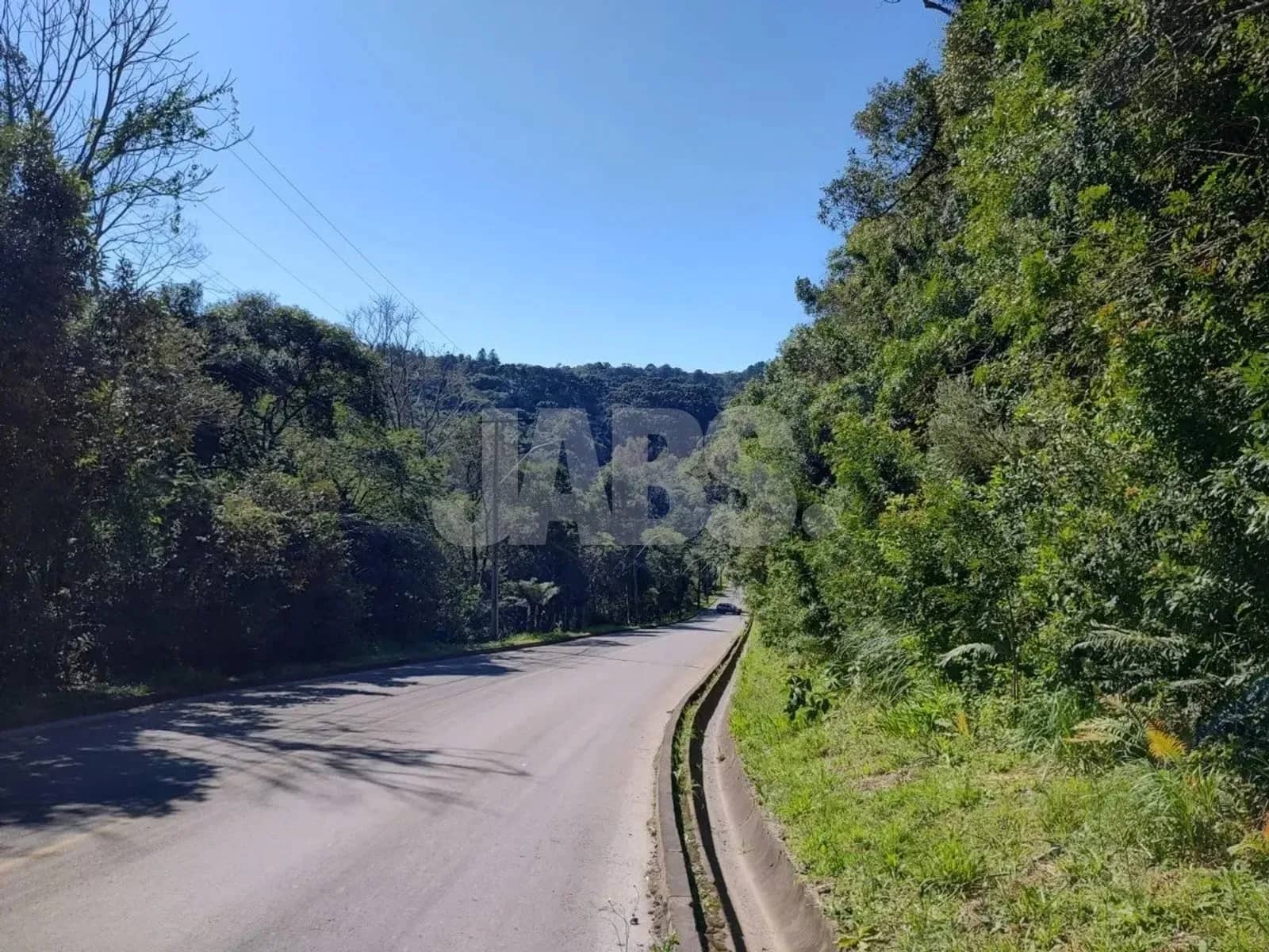 Rua asfaltada em curva ao lado do terreno, com mata dos dois lados