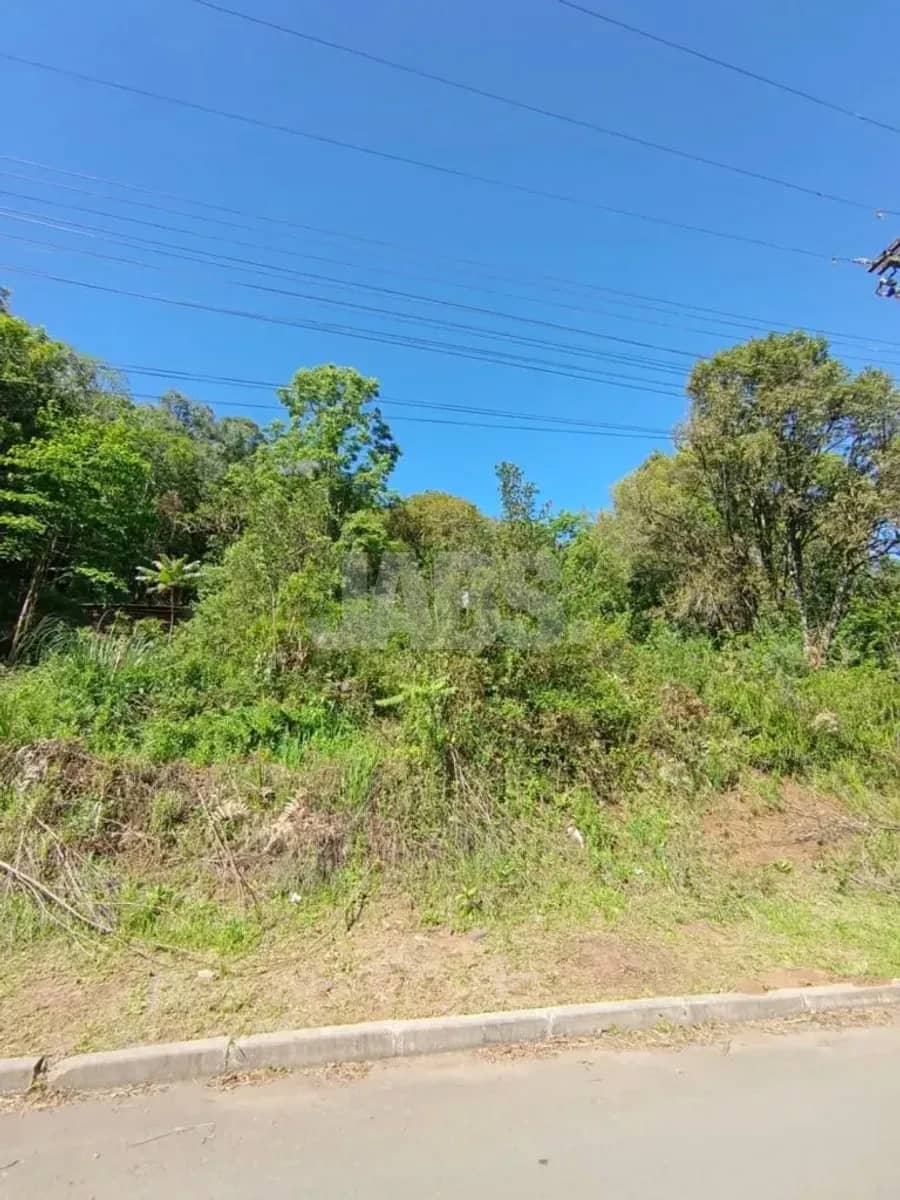 Frente do terreno com vegetação nativa, meio-fio e céu azul