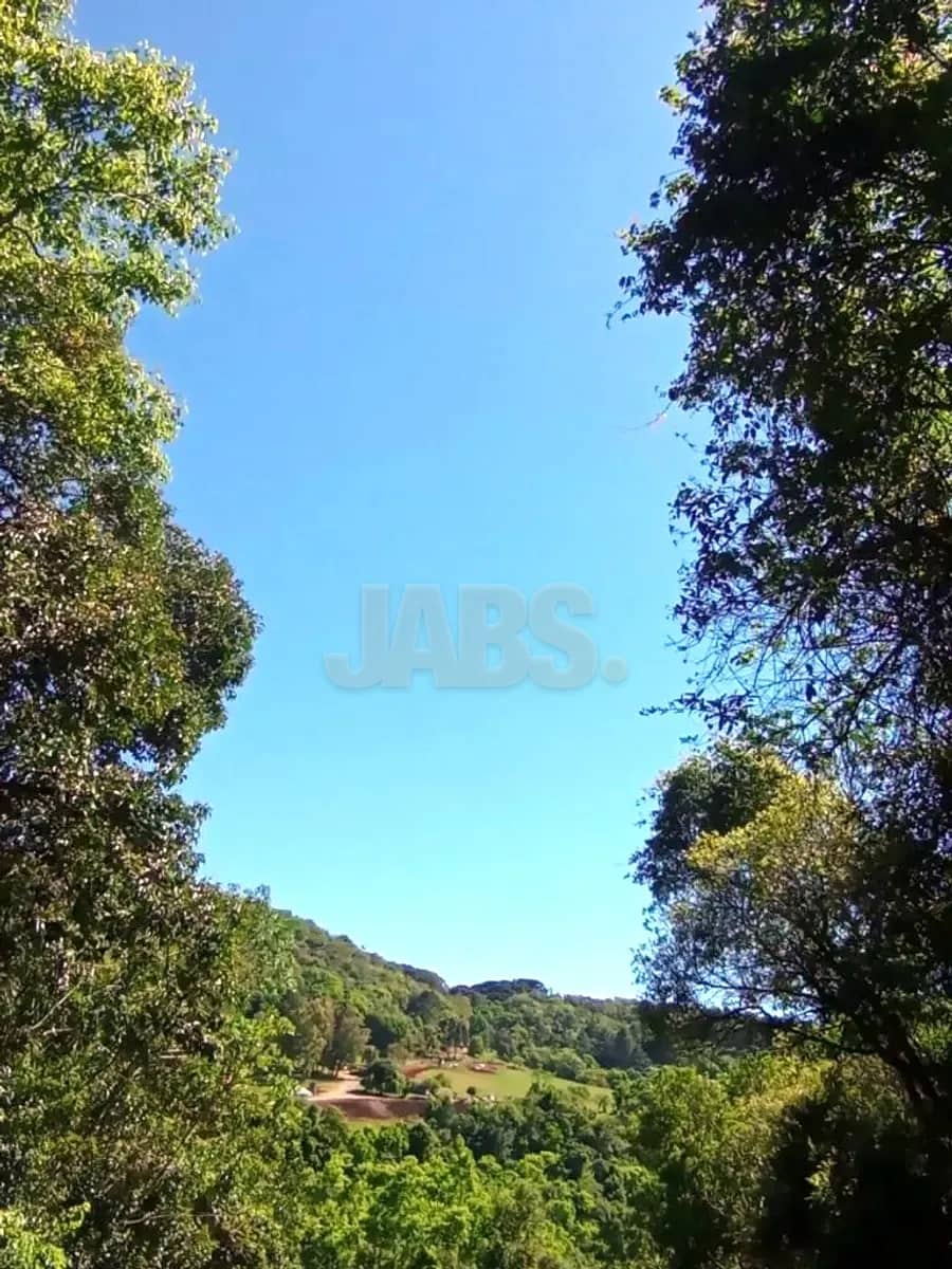 Vista do terreno para o vale e as montanhas cobertas de mata