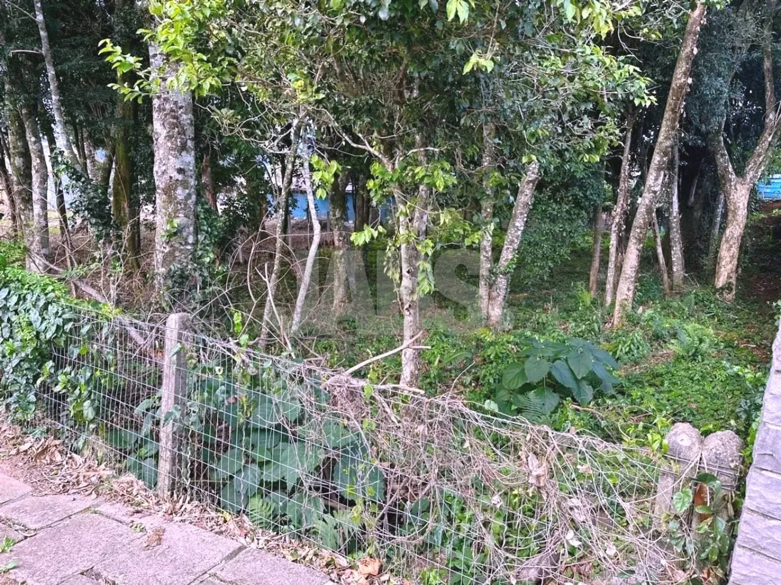 Divisa do terreno com cerca