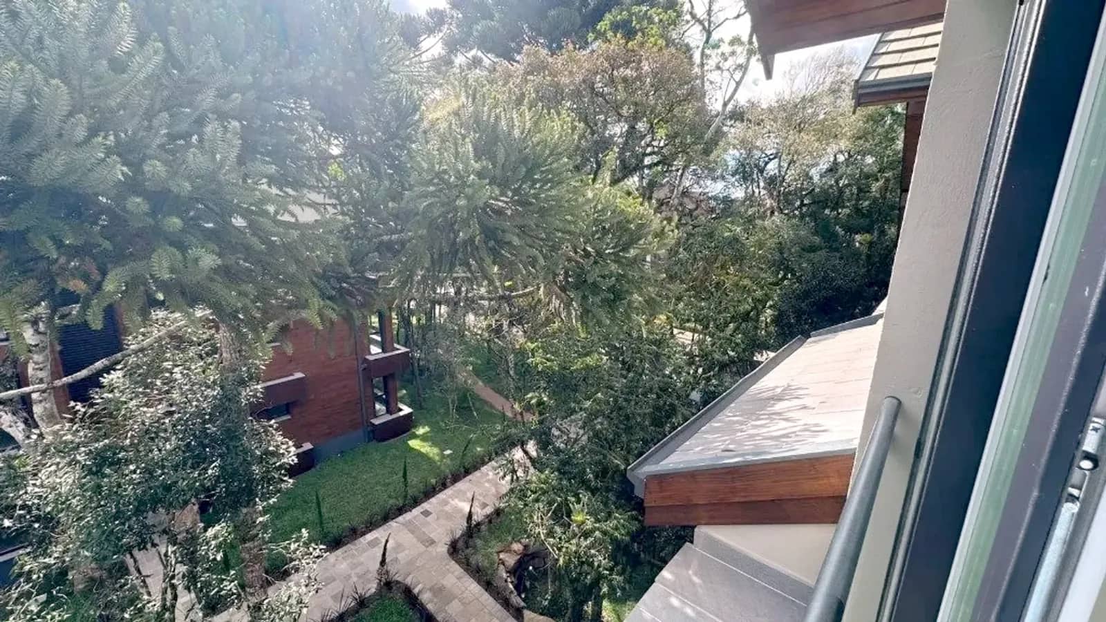 Vista da janela para as copas
