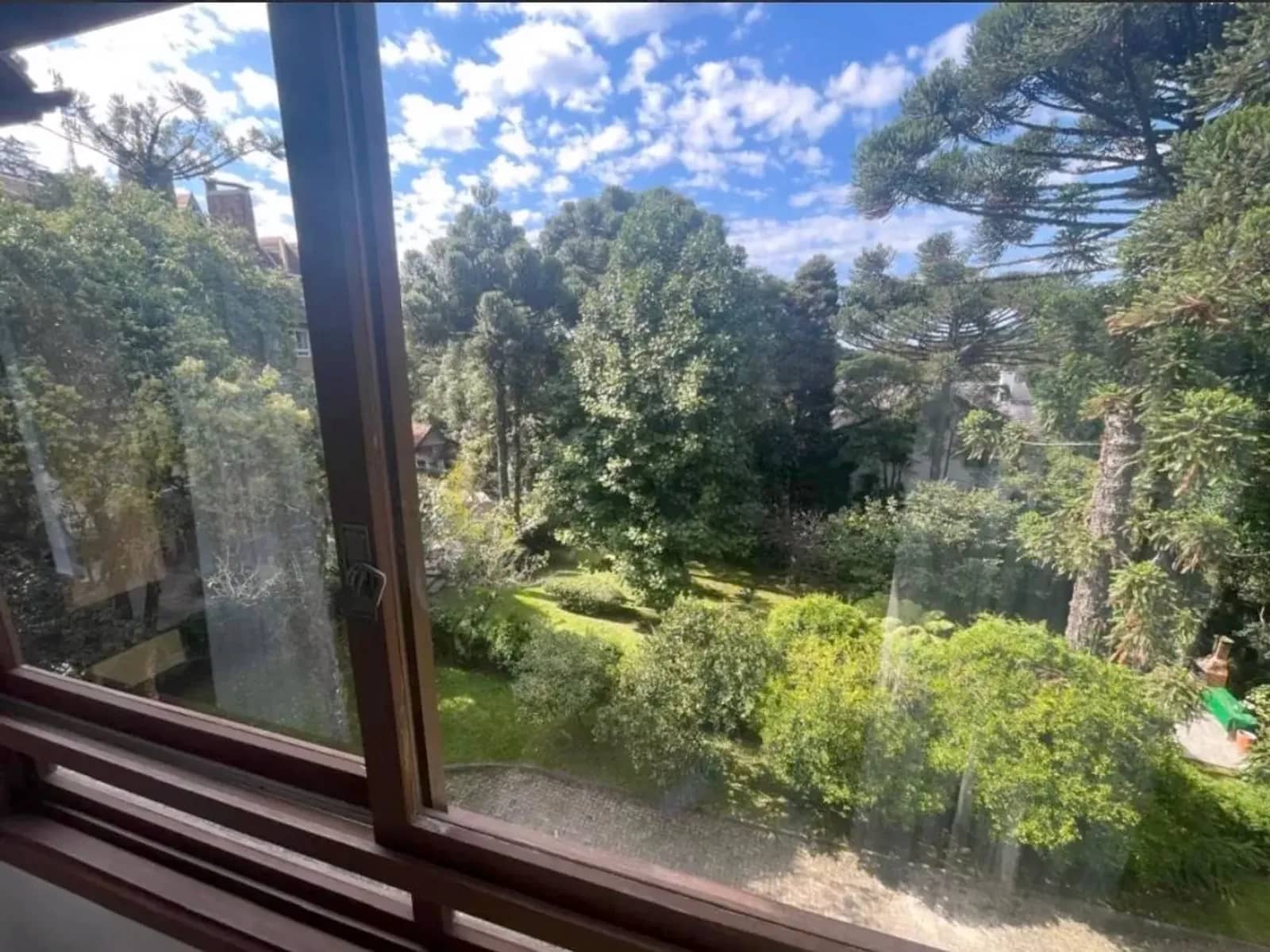 Vista da janela para a mata