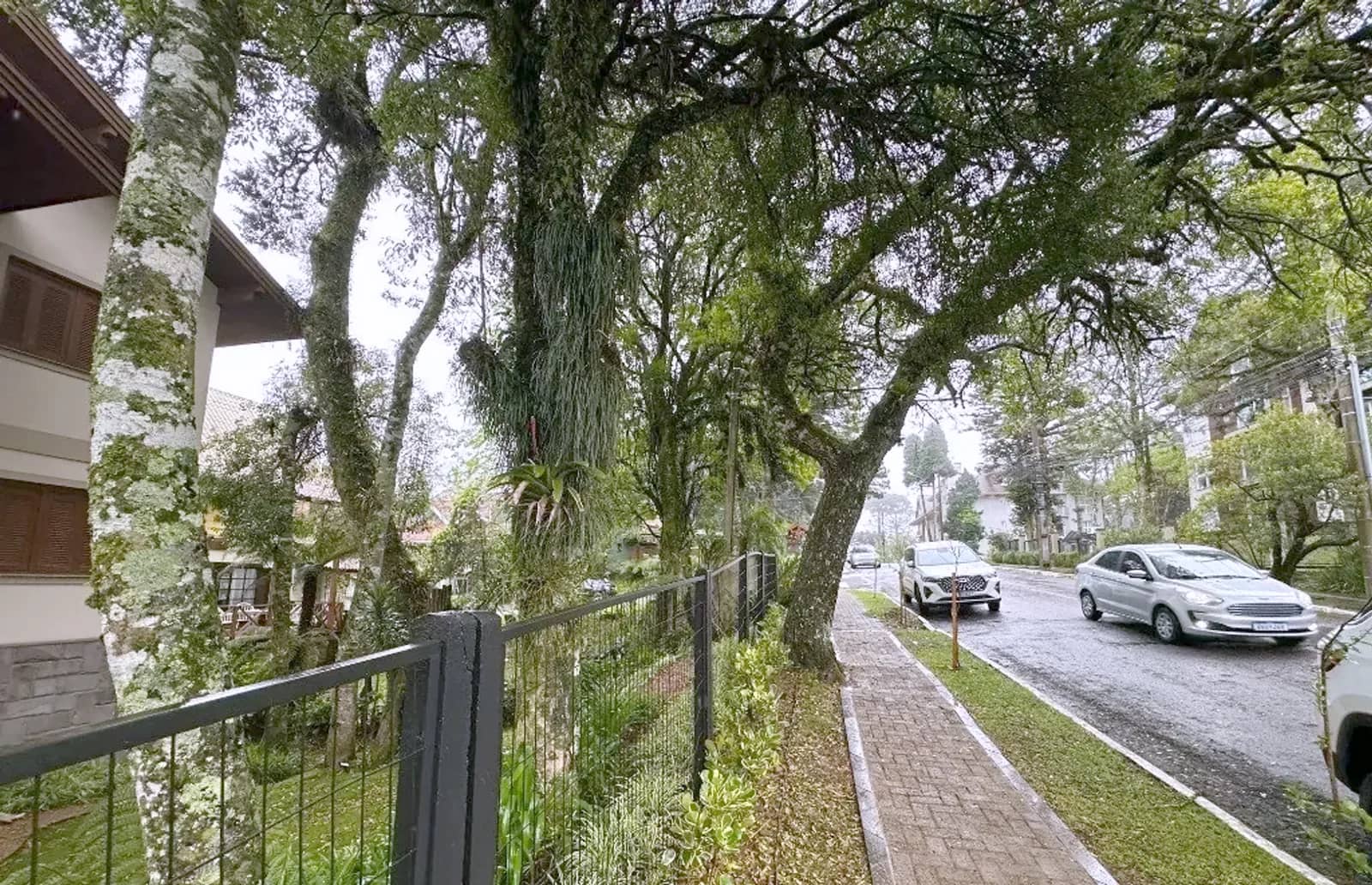Rua arborizada da Bavária